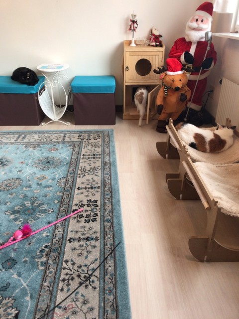 ミャウランド（Meow Land） - 小樽（その他）の写真