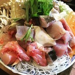 まぐろ漁船直営店　旬魚　磯よし - コチ鍋 予約のみ