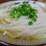 讃岐うどん いわい - つややかなうどん