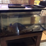 八べえ - 江戸川河口の天然うなぎ