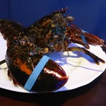 Figaro - おまけ　別の回でいただいたライブ オマール(調理前)