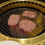 SATOブリアン - タン