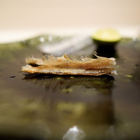 新ばし 星野 - 