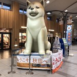 Omiyage Dokoro Komachi En - JR秋田駅では高さ3mのバルーン秋田犬がお出迎え