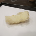 よこやま - アオリイカ