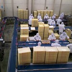 桔梗屋 本社 - 工場内の包装工程
