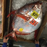 刺身BAR 河岸頭 - 