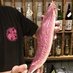 刺身BAR 河岸頭 - 