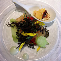 IL PINOLO 梅田 - 