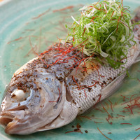 黒むつ 釣り