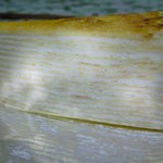 ドゥリエール 藤沢店