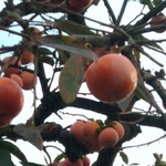 らーめん家せんだい - 