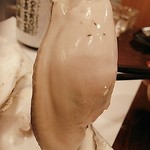 小西鮨 - 浜中産の牡蠣  おっきい～♪(≧▽≦)