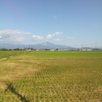 鮎茶屋 かわせ - お店から望む