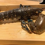 肉屋 雪月花 NAGOYA - オマール海老