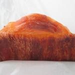 テーラ・テール - サリュー