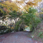 すずめ庵 - 紅葉がきれい