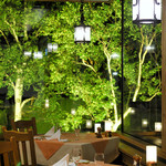 ラ・ステラ・アルピーナ - 