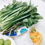 Pho Hoa - ノコギリコリアンダー＆ドクダミ