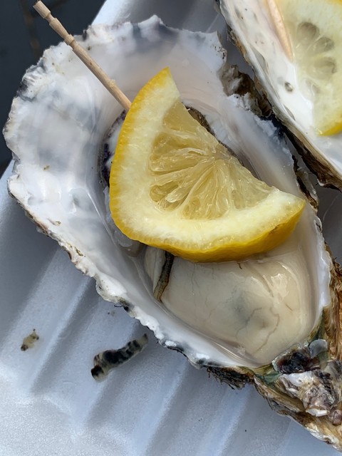 戸田金商店 - 松島海岸（食堂）の写真