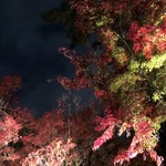 御料理 光安 - 永観堂ライトアップ