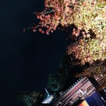 御料理 光安 - 永観堂ライトアップ