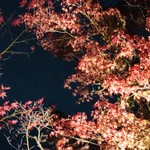 御料理 光安 - 永観堂ライトアップ