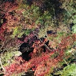 御料理 光安 - 永観堂ライトアップ