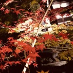 御料理 光安 - 永観堂ライトアップ