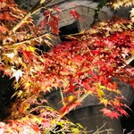 御料理 光安 - 永観堂ライトアップ