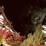 御料理 光安 - 永観堂ライトアップ
      奥は  多宝塔