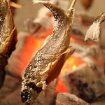 日本酒スローフード 方舟 大吟醸 いろり