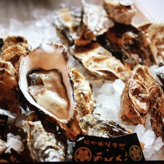 We purchase Oyster that are at their peak of deliciousness each season.