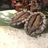 表参道うかい亭 - 