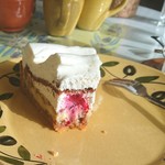 97342542 - カシス？