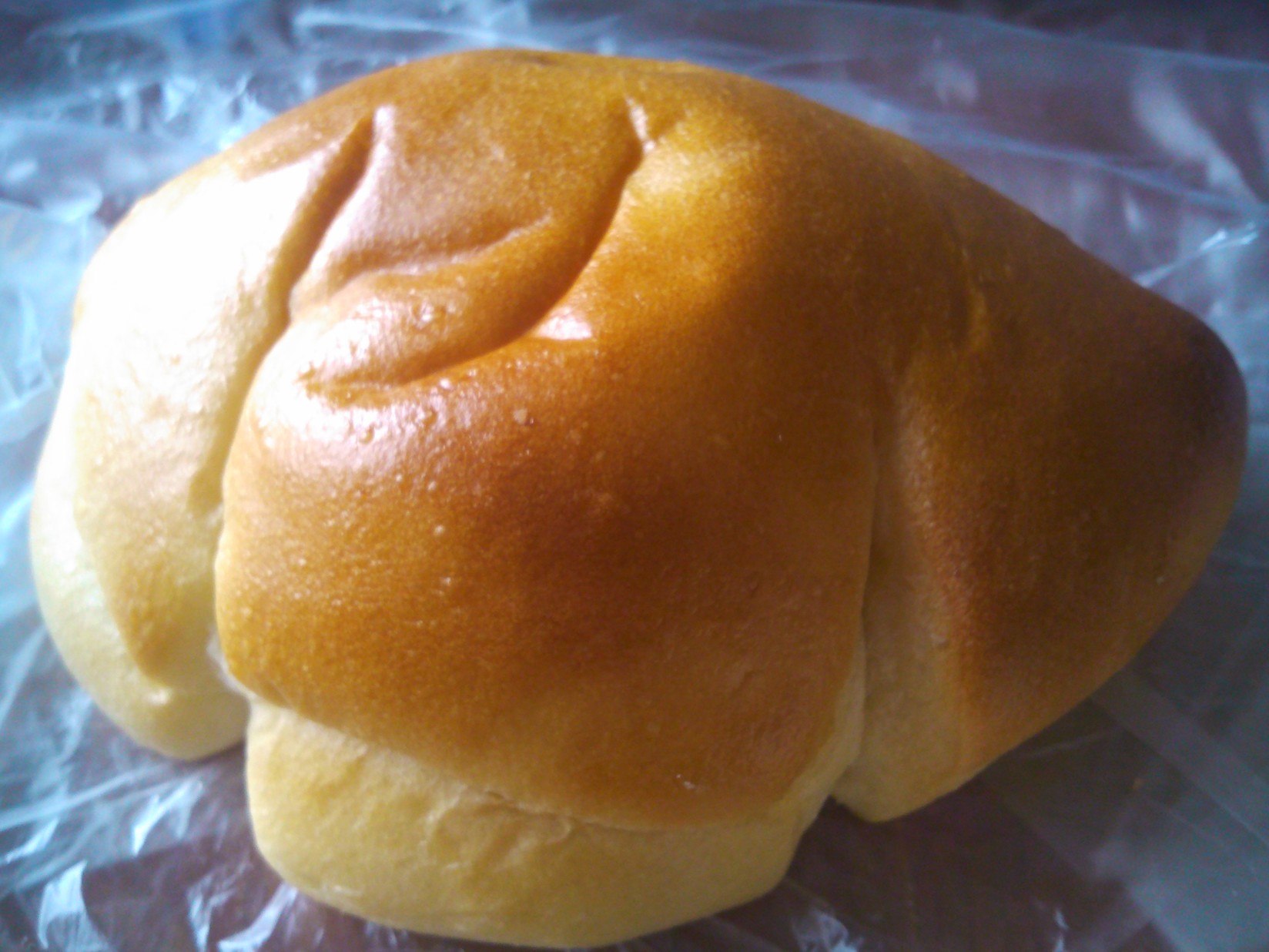 ハルモニアガトーゴーシェ 藤枝店 name=