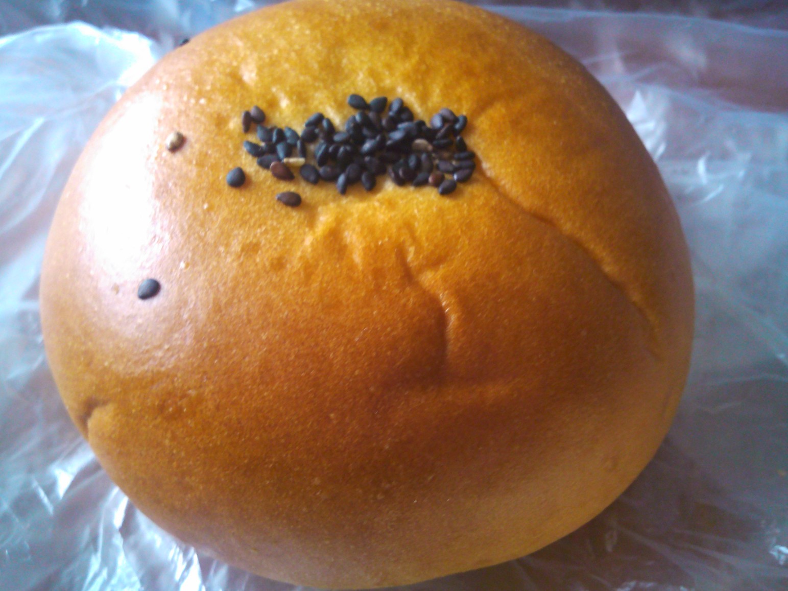 ハルモニアガトーゴーシェ 藤枝店 name=
