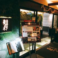 天空の庭　星のなる木 - 