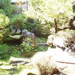 彦根本町 分福茶屋 - 中庭の風景