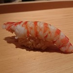 鮨 さかい - 車海老