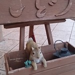 森の中のレストラン こどう - りすさんと一緒に記念撮影