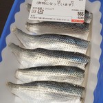 魚周 - 小はだ　600円