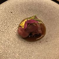肉和食 月火水木金土日 - 