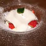 CHEESE SQUARE AVANTI - ロマノフ