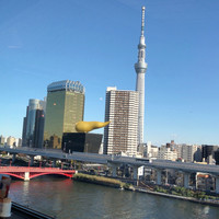 浅草むぎとろ 本店 - 