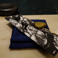 SALONE 2007 - 