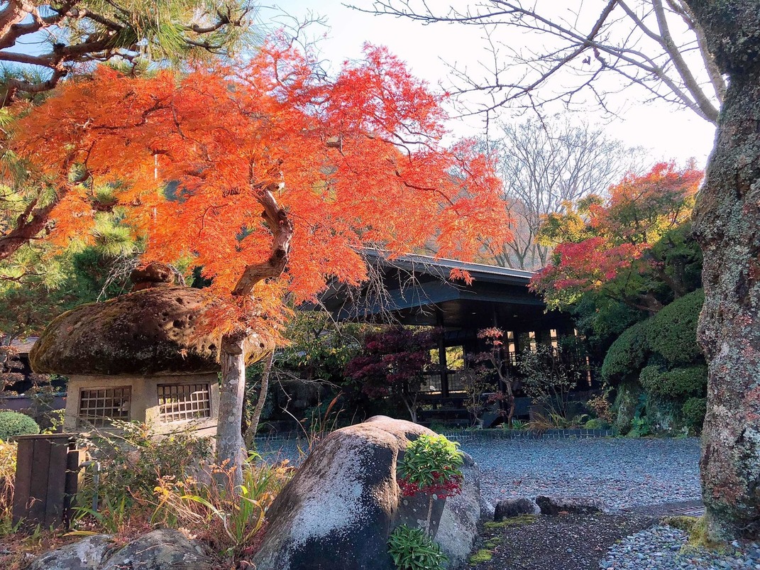 たいたけ さやこさんが投稿した雲風々（静岡/修善寺）の口コミ詳細 [食べログ] 雲風々