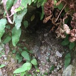 うどん本陣 山田家 - あなば