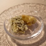 フォリオリーナ・デッラ・ポルタ・フォルトゥーナ - 