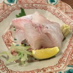 美酒佳肴 しょうじょう - モスのお造り